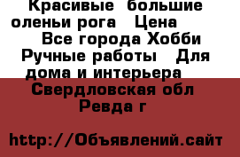 Красивые  большие оленьи рога › Цена ­ 3 000 - Все города Хобби. Ручные работы » Для дома и интерьера   . Свердловская обл.,Ревда г.